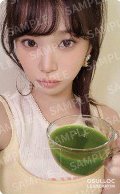 PUREFLOW OSULLOC 抹茶 周邊卡 貼紙
