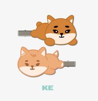 🦊