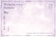 四季流年 A款 明信片 五月 背面