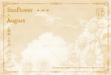 四季流年 B款 明信片 八月 背面