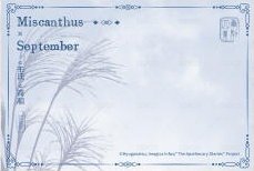 四季流年 B款 明信片 九月 背面