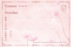 四季流年 B款 明信片 十月 背面