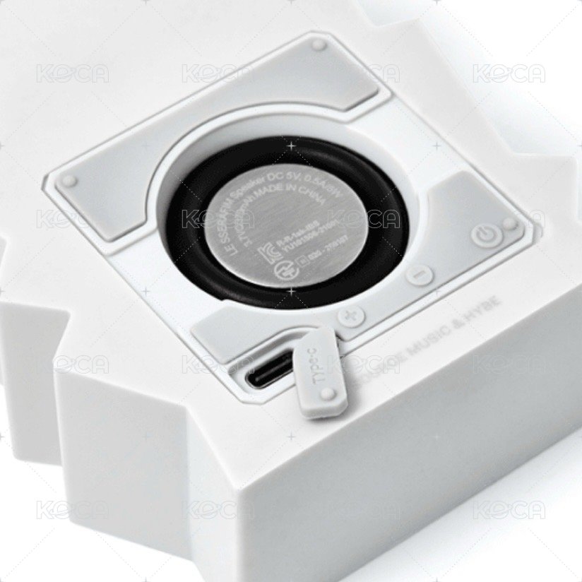 Speaker