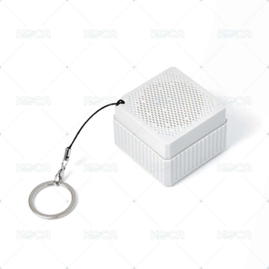 Speaker
