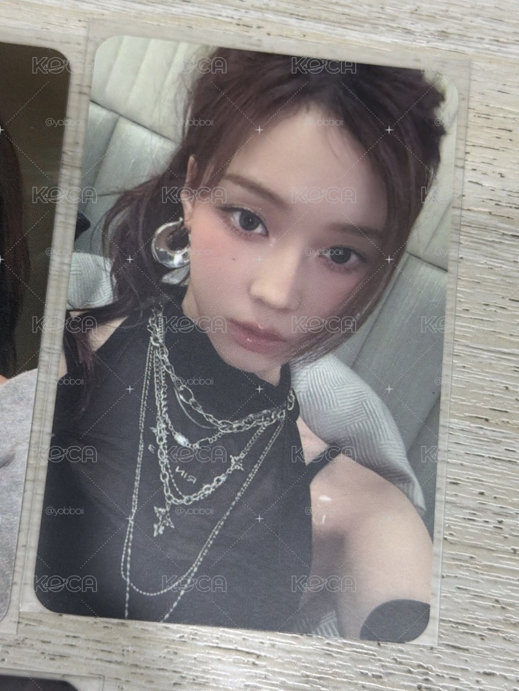 美麗馬尾冬