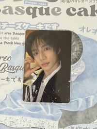 圭