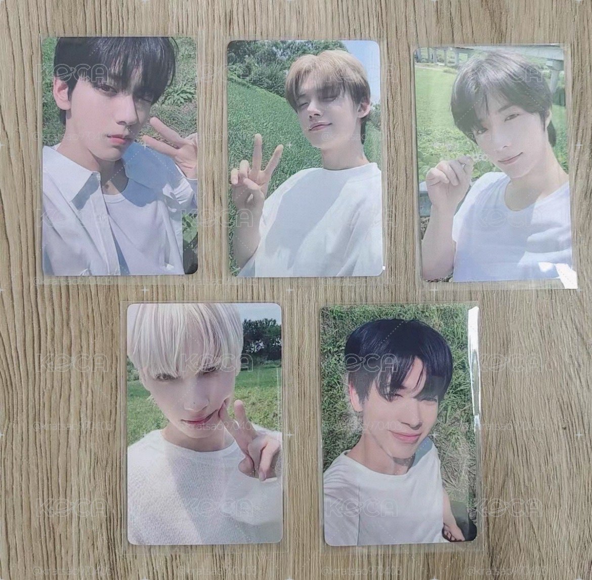 TXT - YIZHUYU 