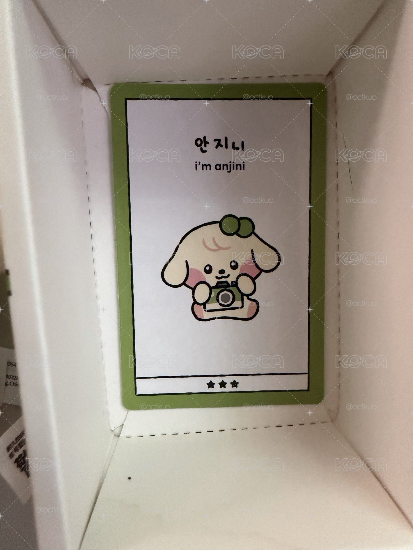 Line friend 安吉尼