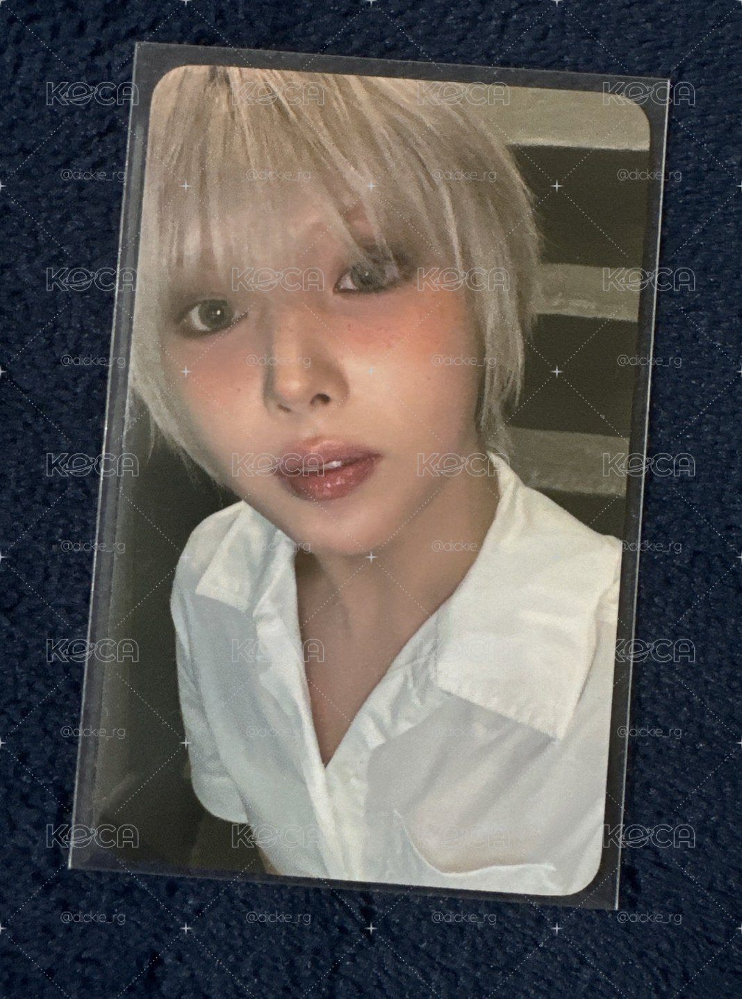 fans預售友