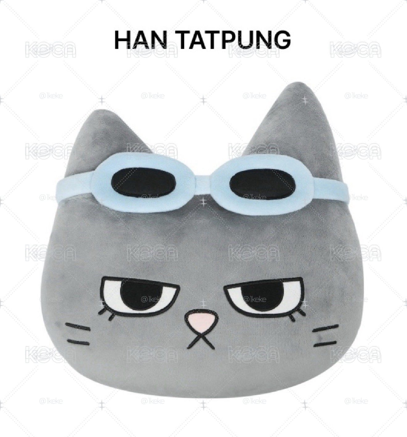 BBNEXDO 抱枕 HAN TATPUNG