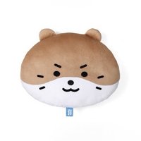 MINITEEN 抱枕 