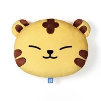 MINITEEN 抱枕 