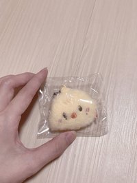 琦