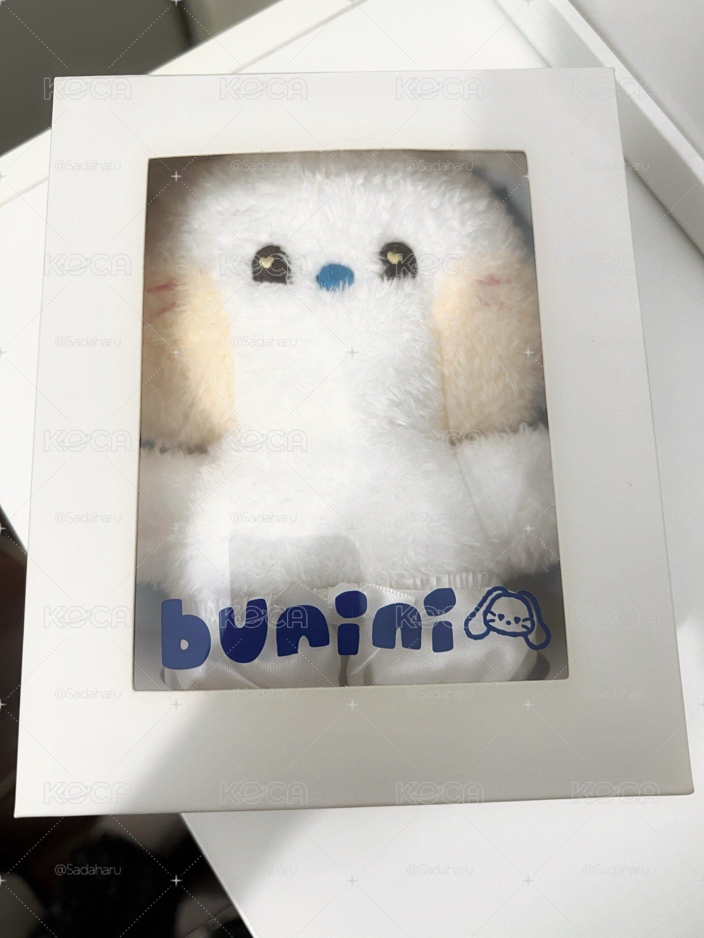 Bunini HAERIN娃