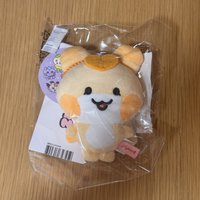 豆豆眼