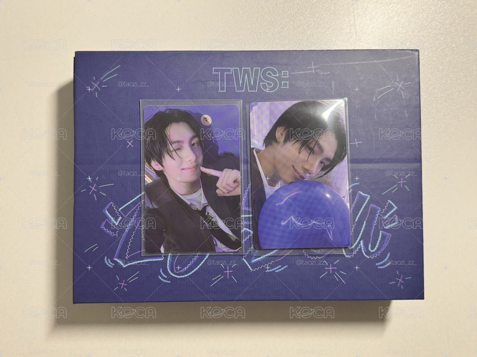 TWS全專