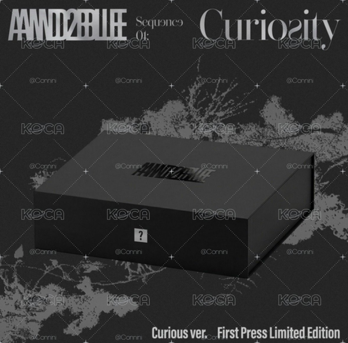 A2B 迷一 相機專/限量專 Curious ver.