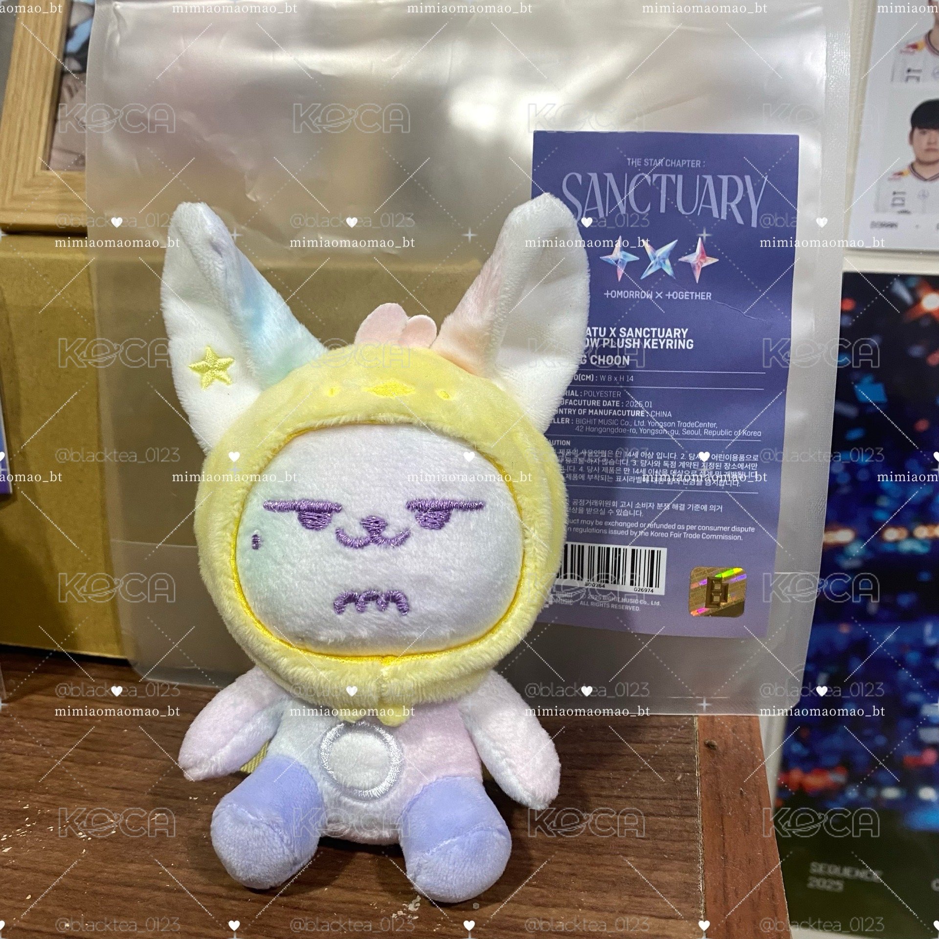 淡顏彩春✨