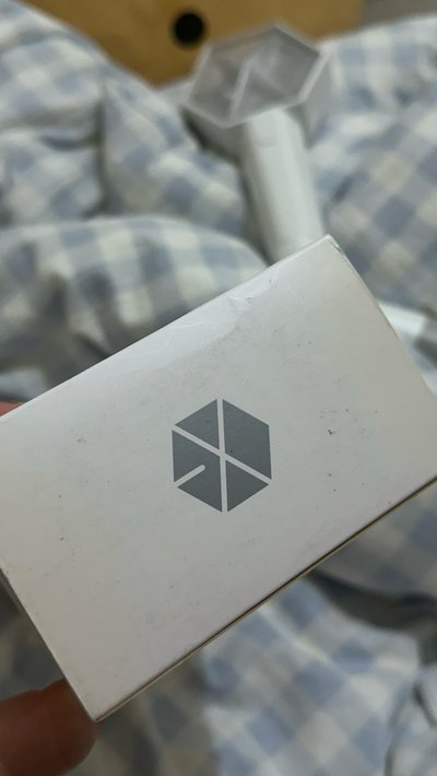 手燈+官方充電電池