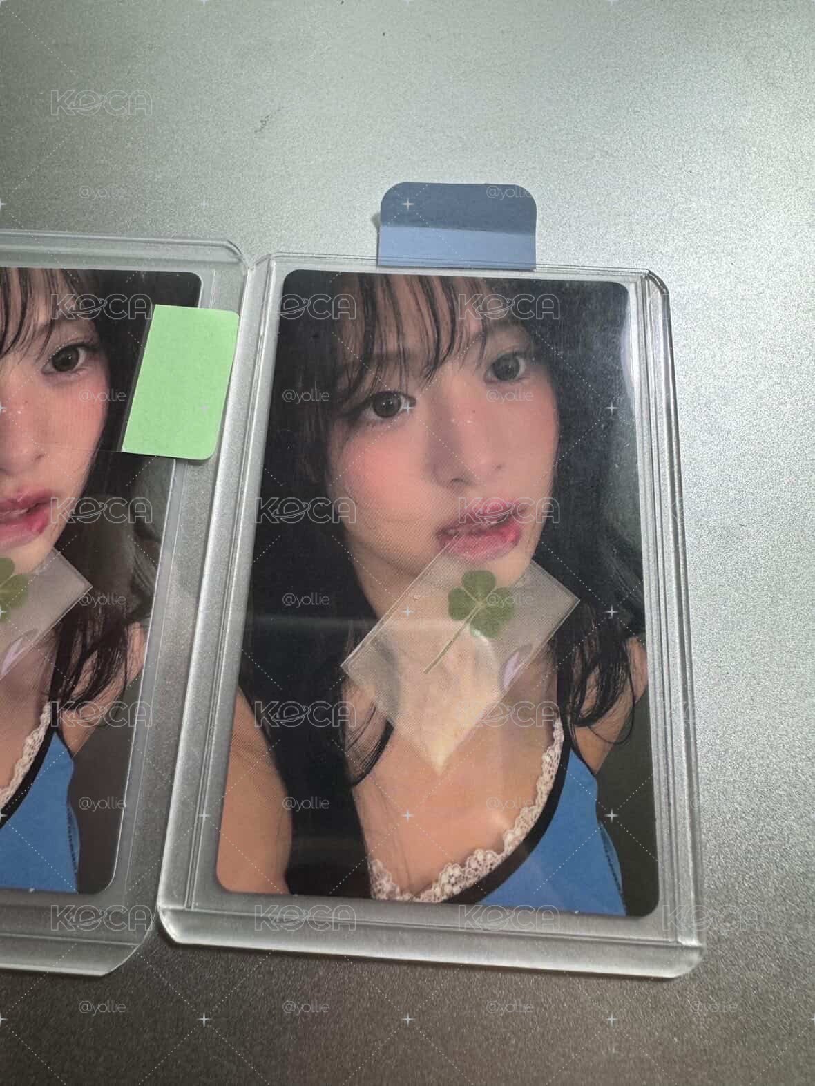 幸運草賢 雅賢