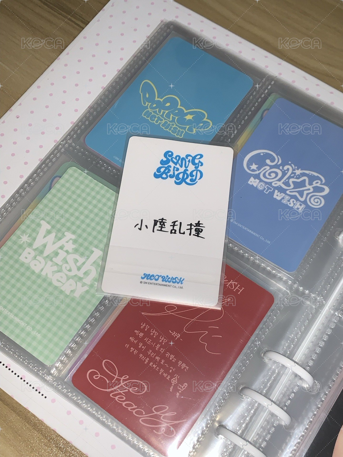小陸亂撞