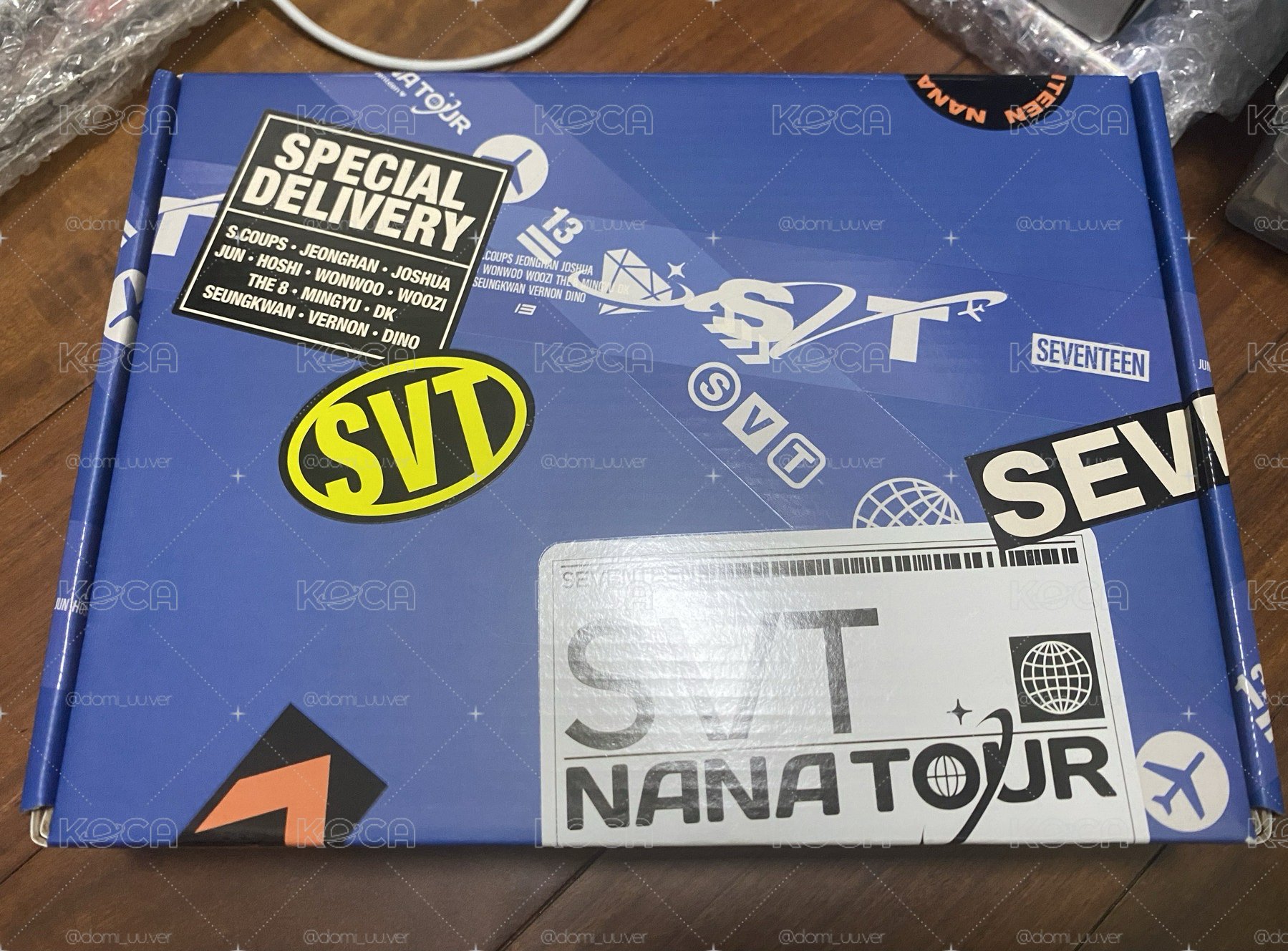 Nana tour 寫真回憶錄
