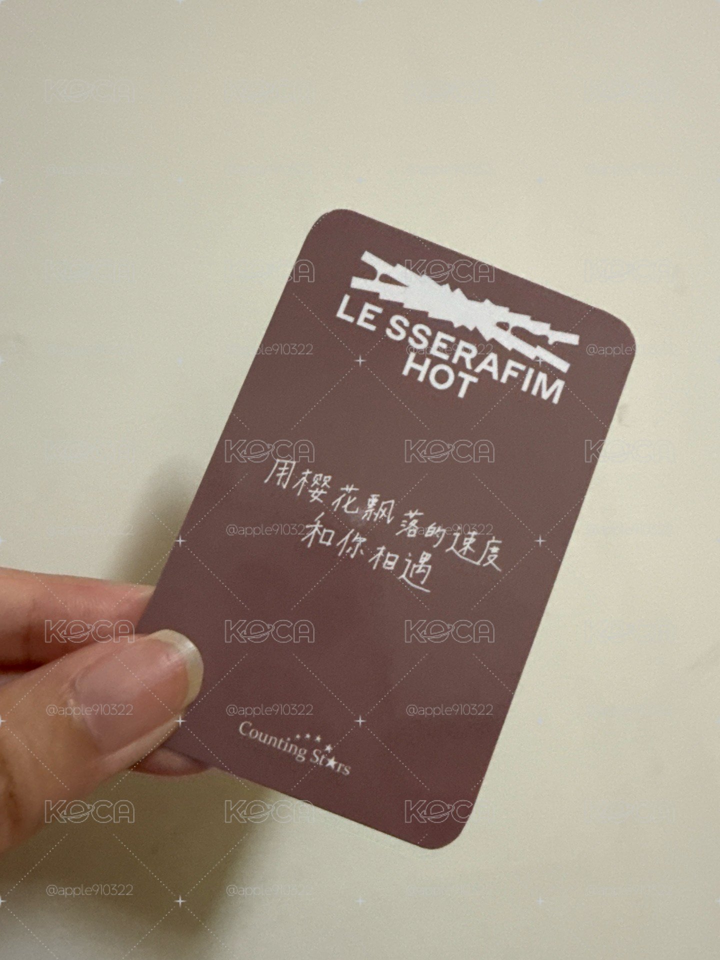 用櫻花飄落的速度和你相遇