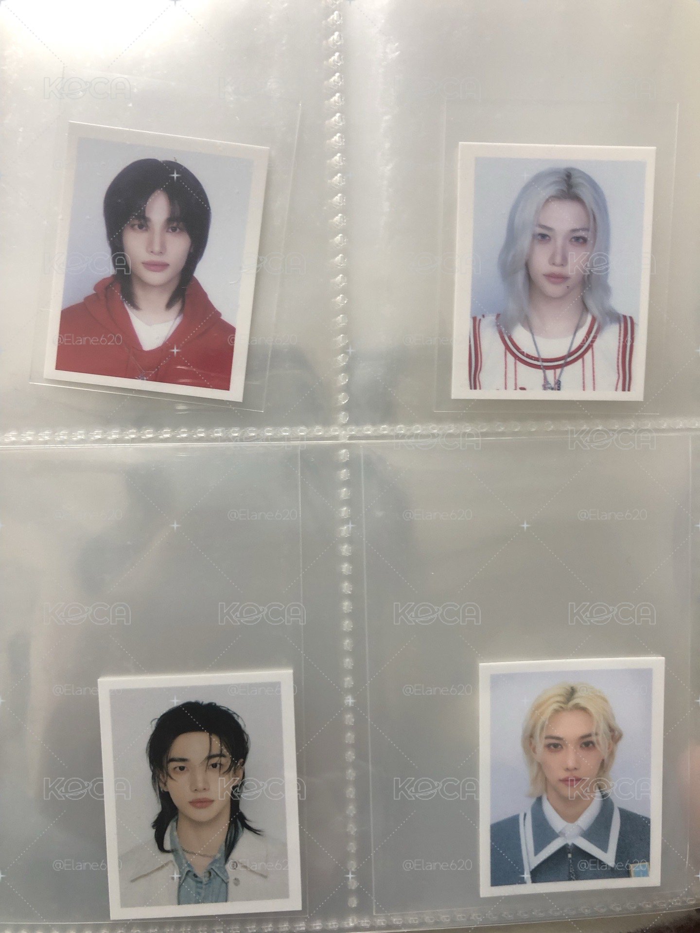 辰菲證件照小盤