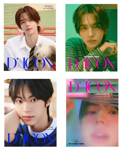 TWS DICON 申惟 道勳