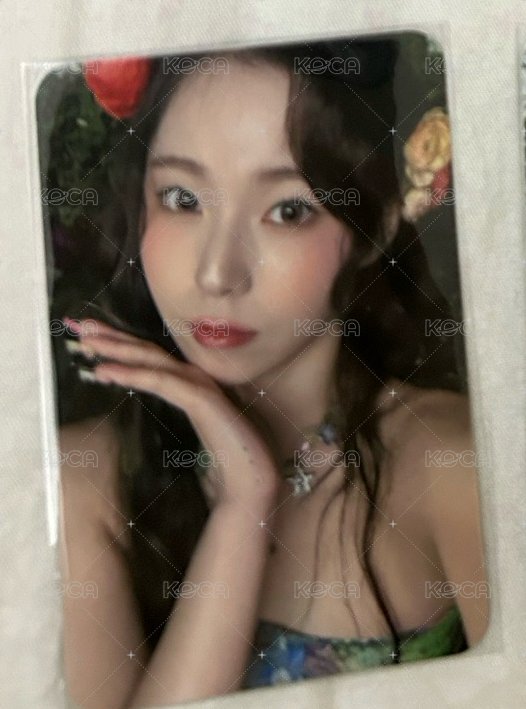 預售特典圭