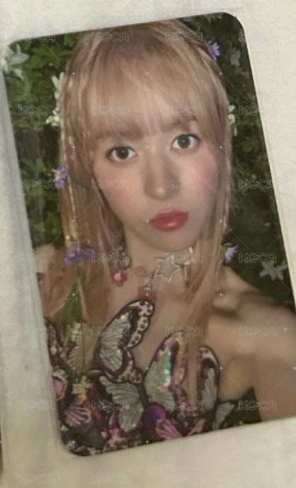 預售特典莉