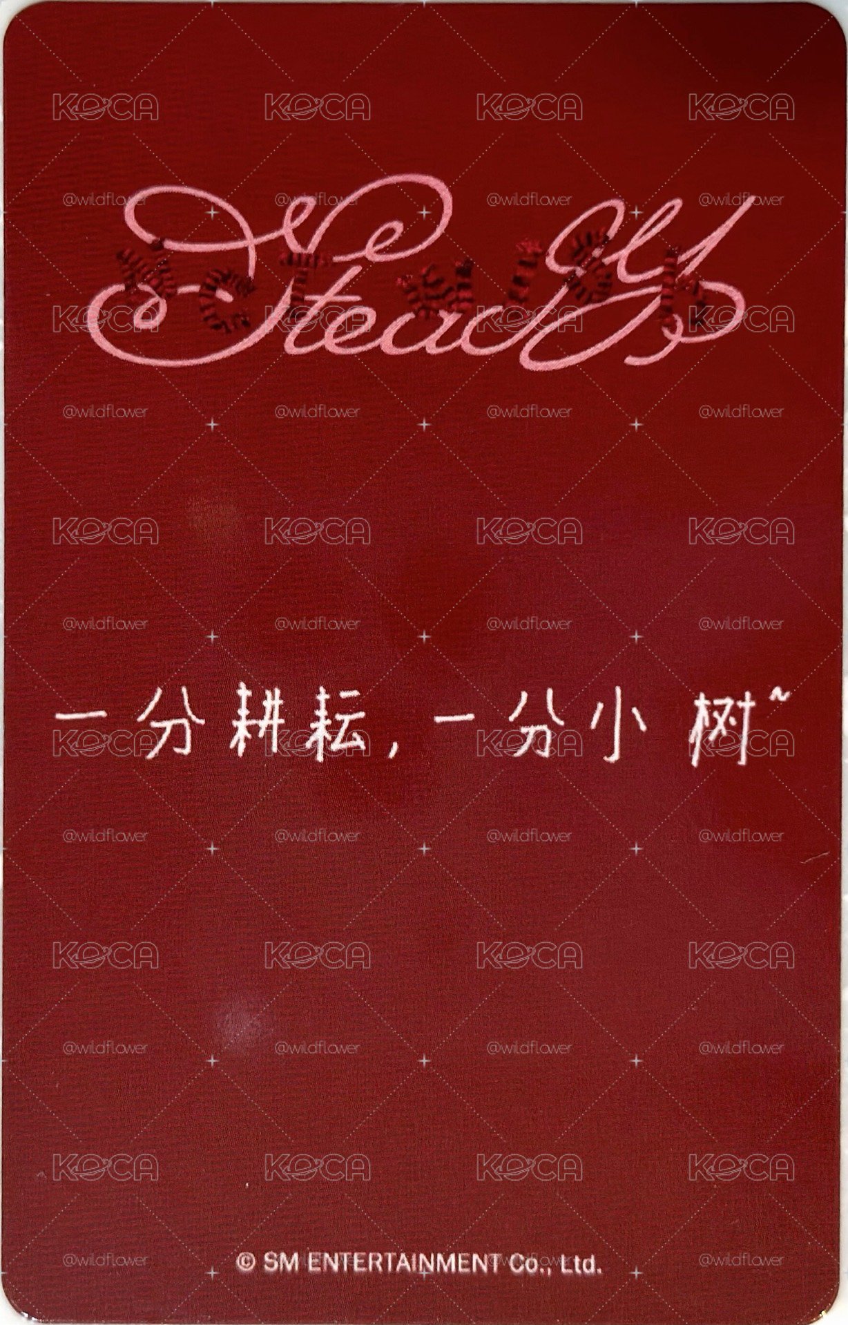 Steady kms預售k版Jaehee 中文卡背