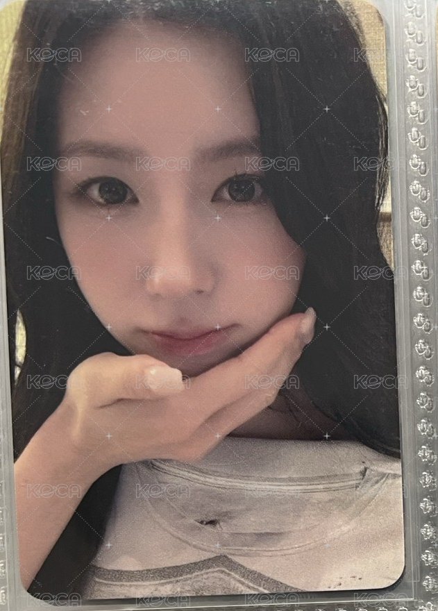 楠藝