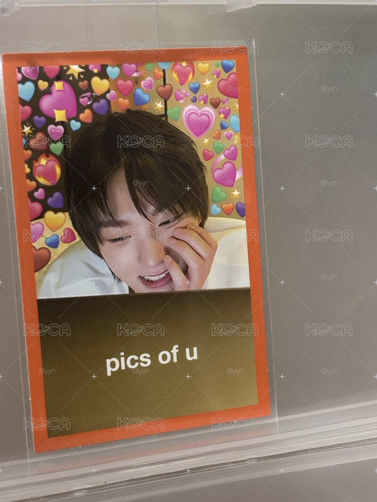 🔅成淏