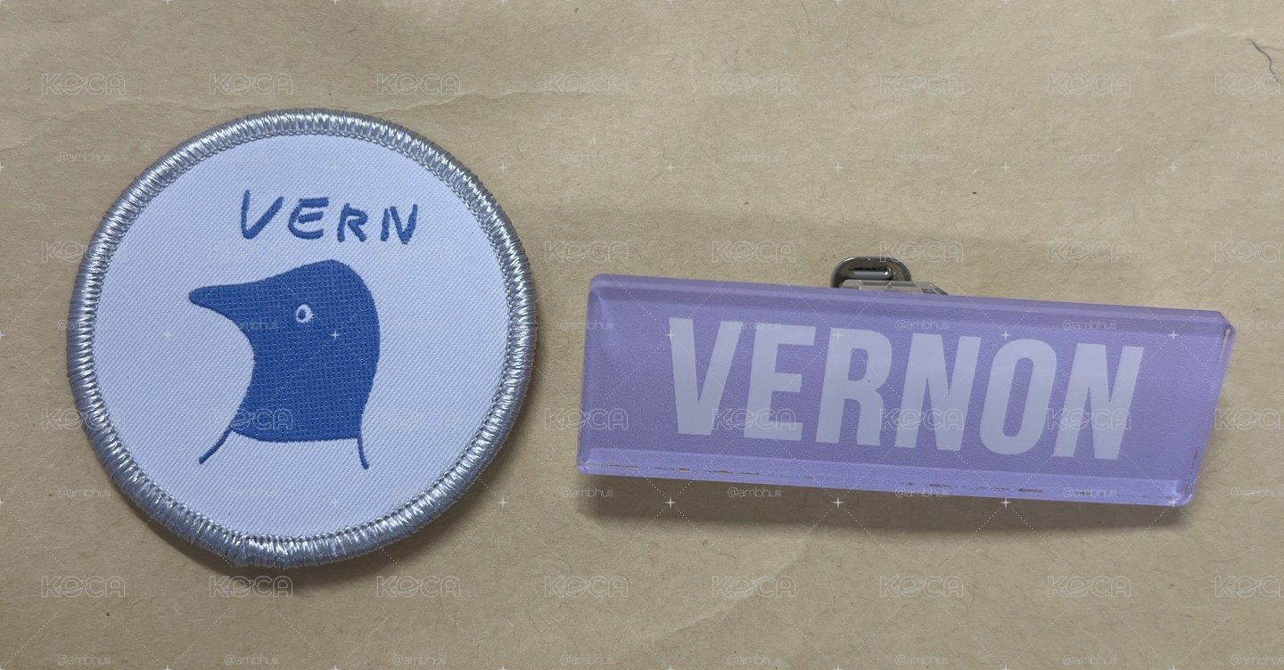 VERNON布章別針組
