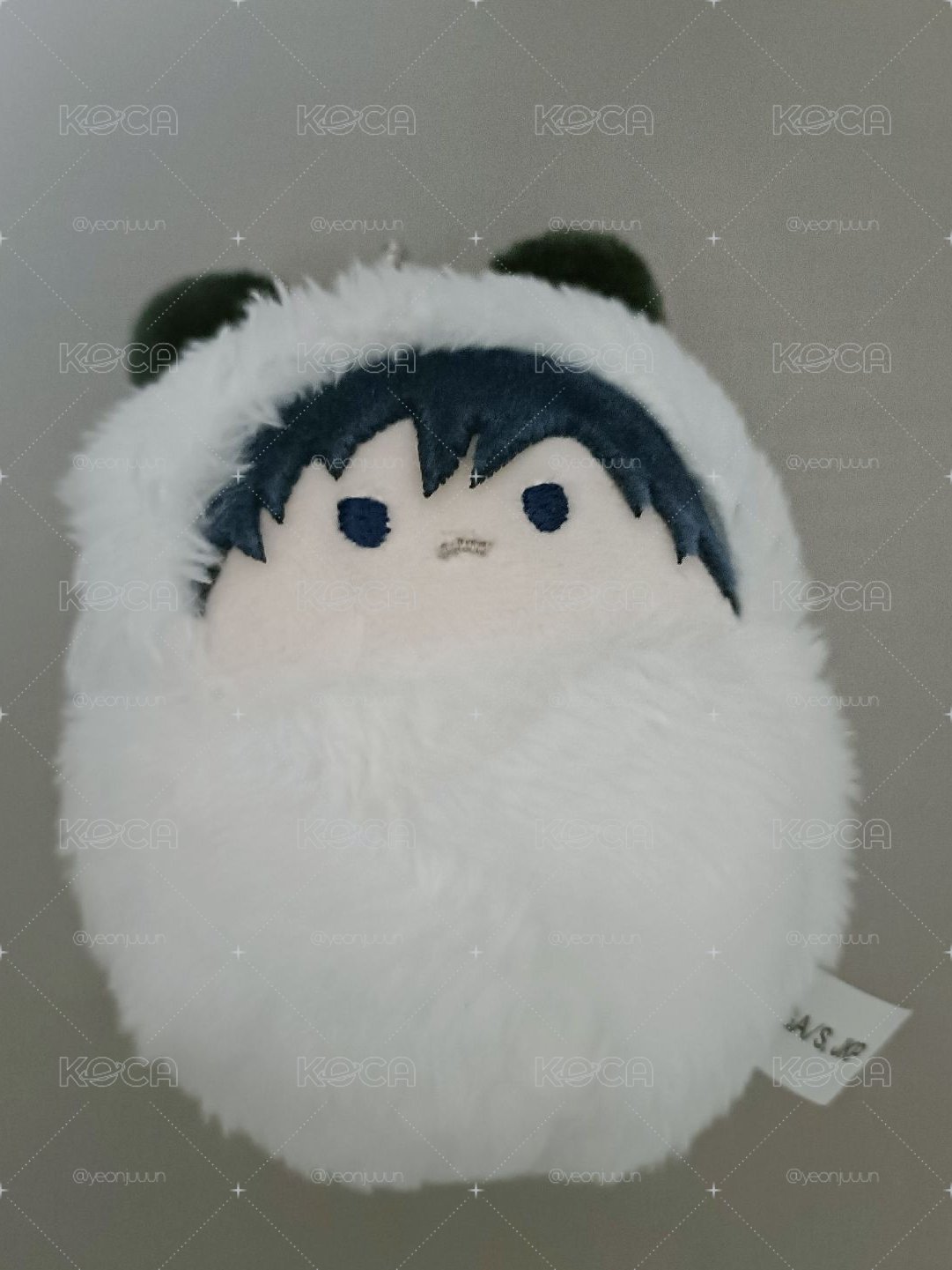 伏黑寶寶娃