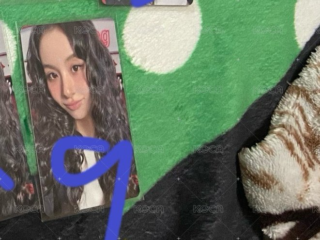 彩英9