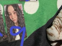 彩英9