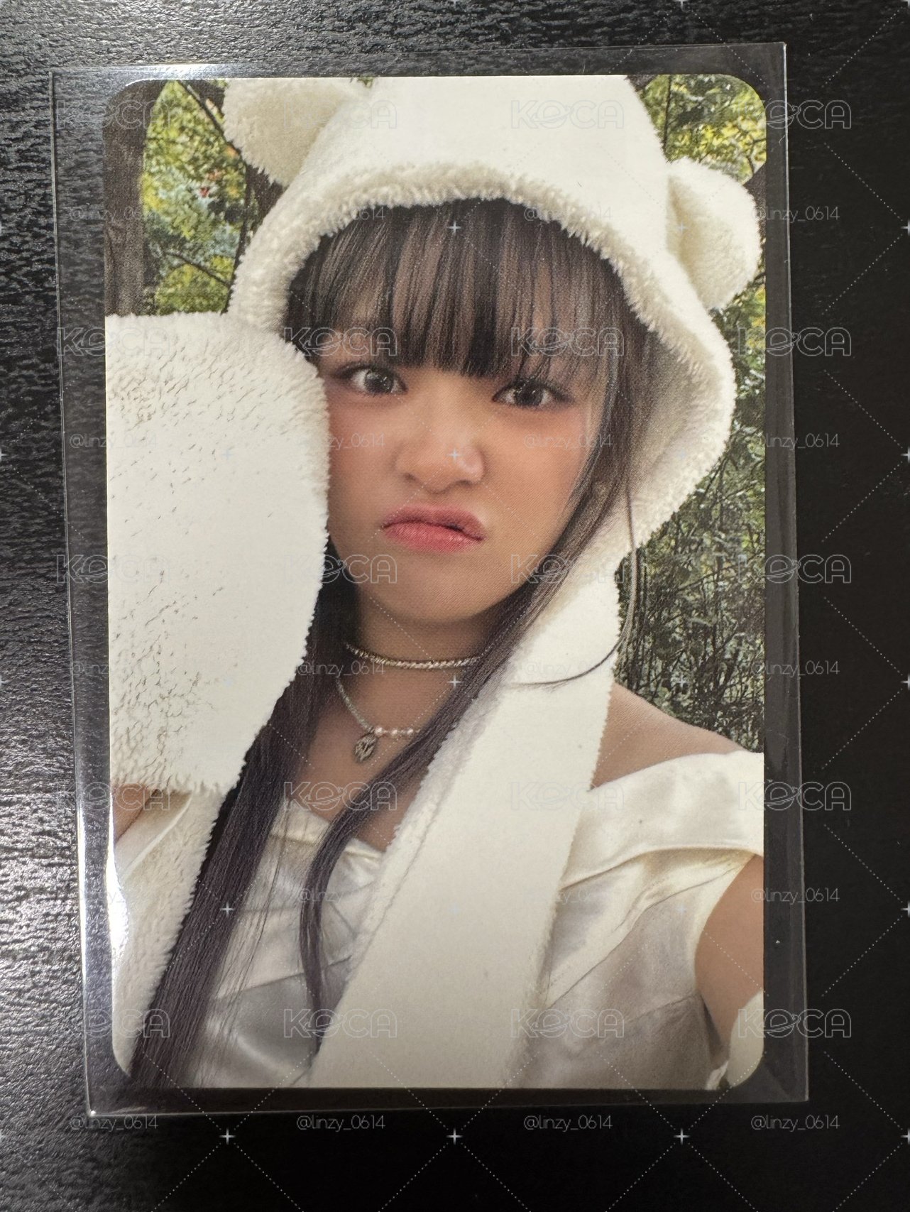 熊帽定