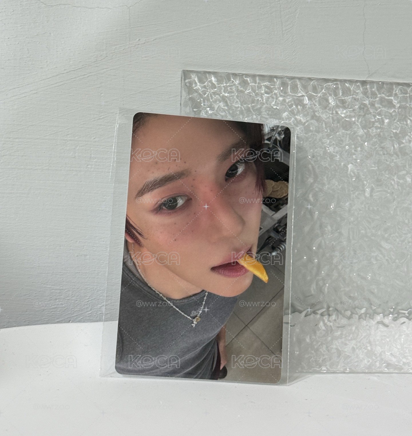wvs溫 薯條溫