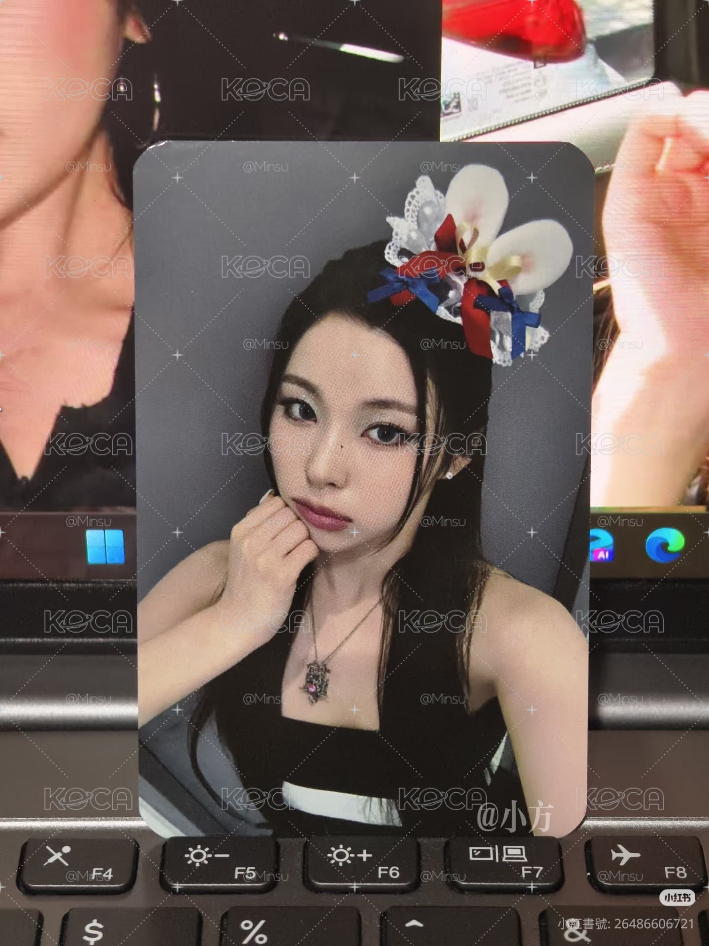 彼得兔圭