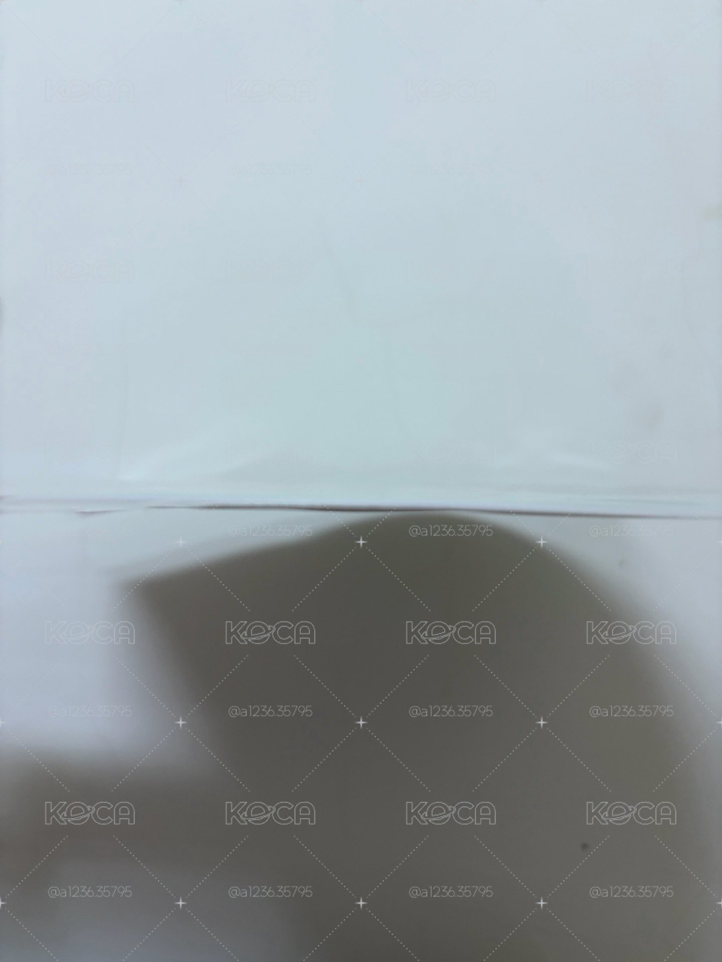全新現貨 S.coups 日本FM大扇