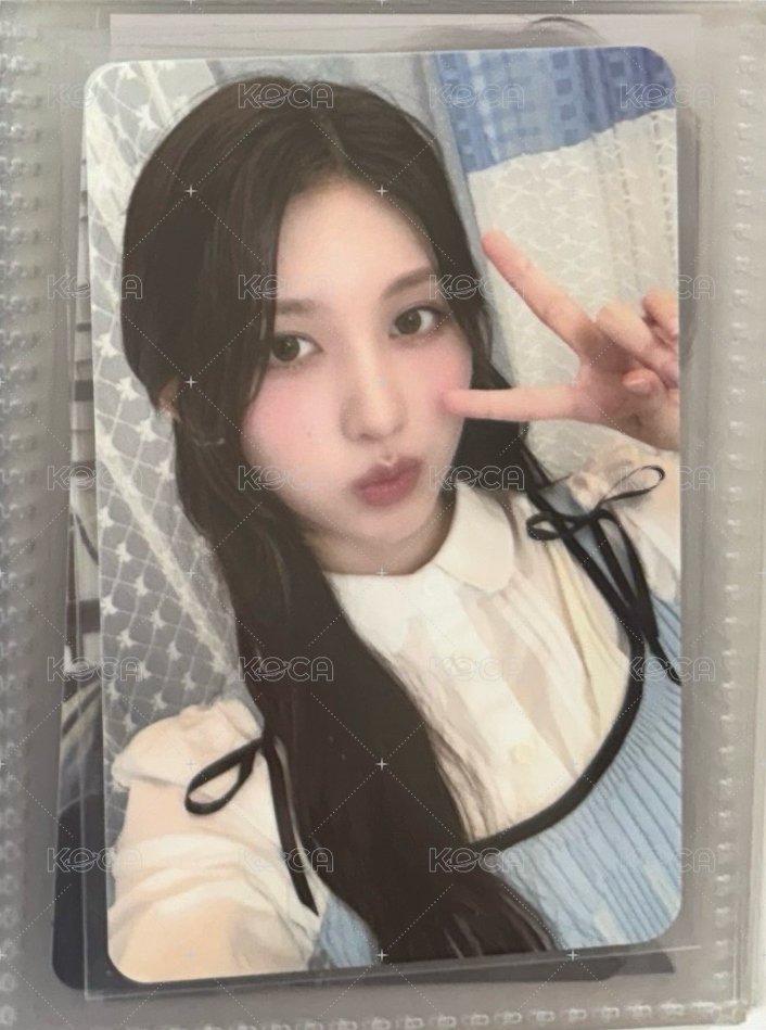 24年曆秋