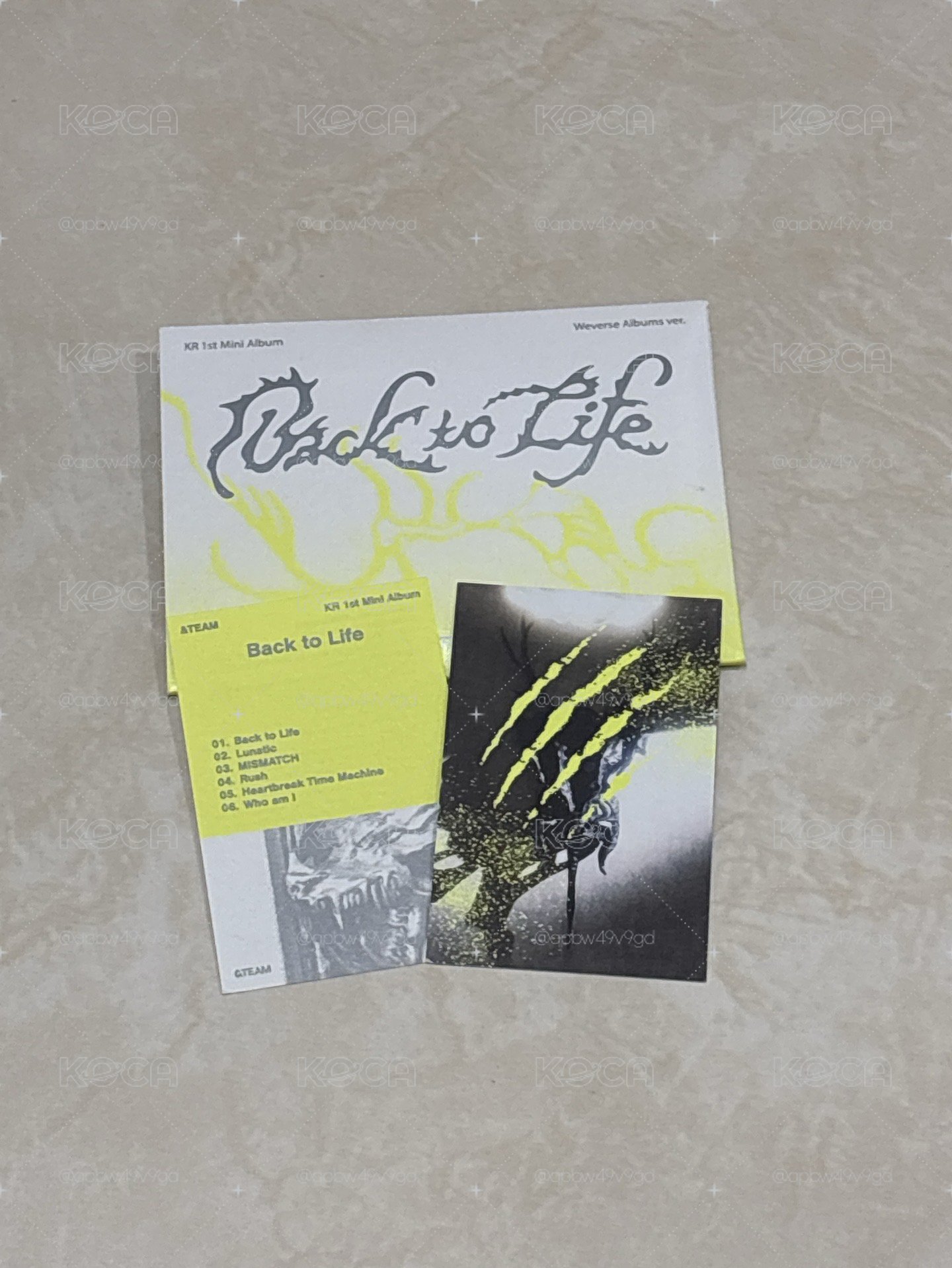 BTL 專輯卡 WVS Albums ver.拍立得