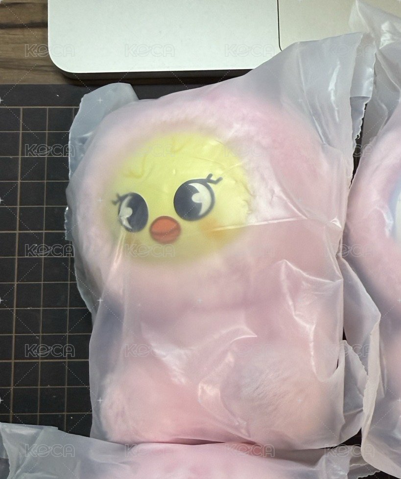 菲