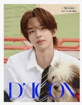TWS DICON 申惟（含二補）