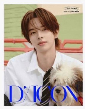 TWS DICON 申惟（含二補）
