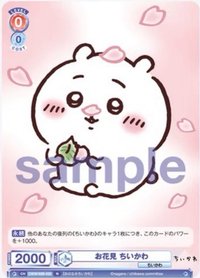WSB對戰卡 vol.2 N 隨機卡 