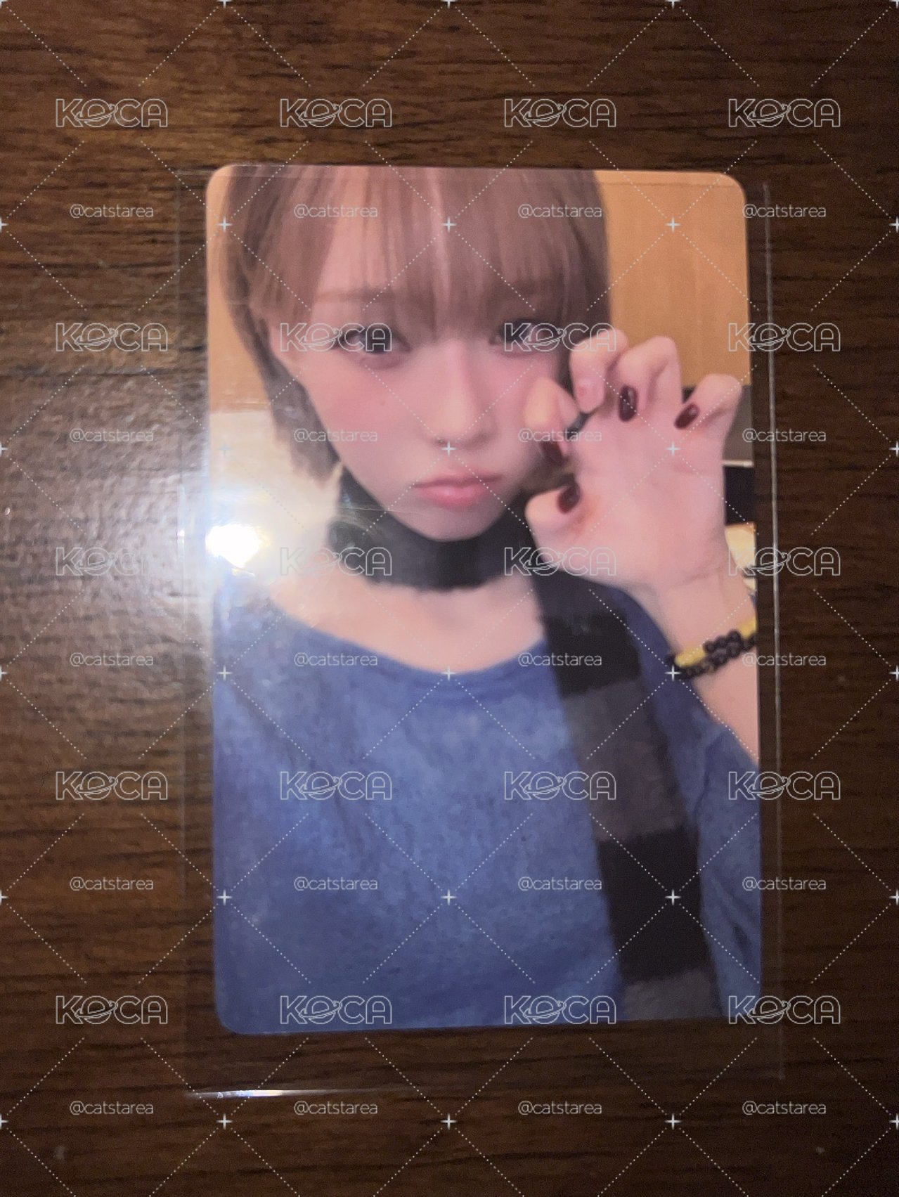 貓爪冬
