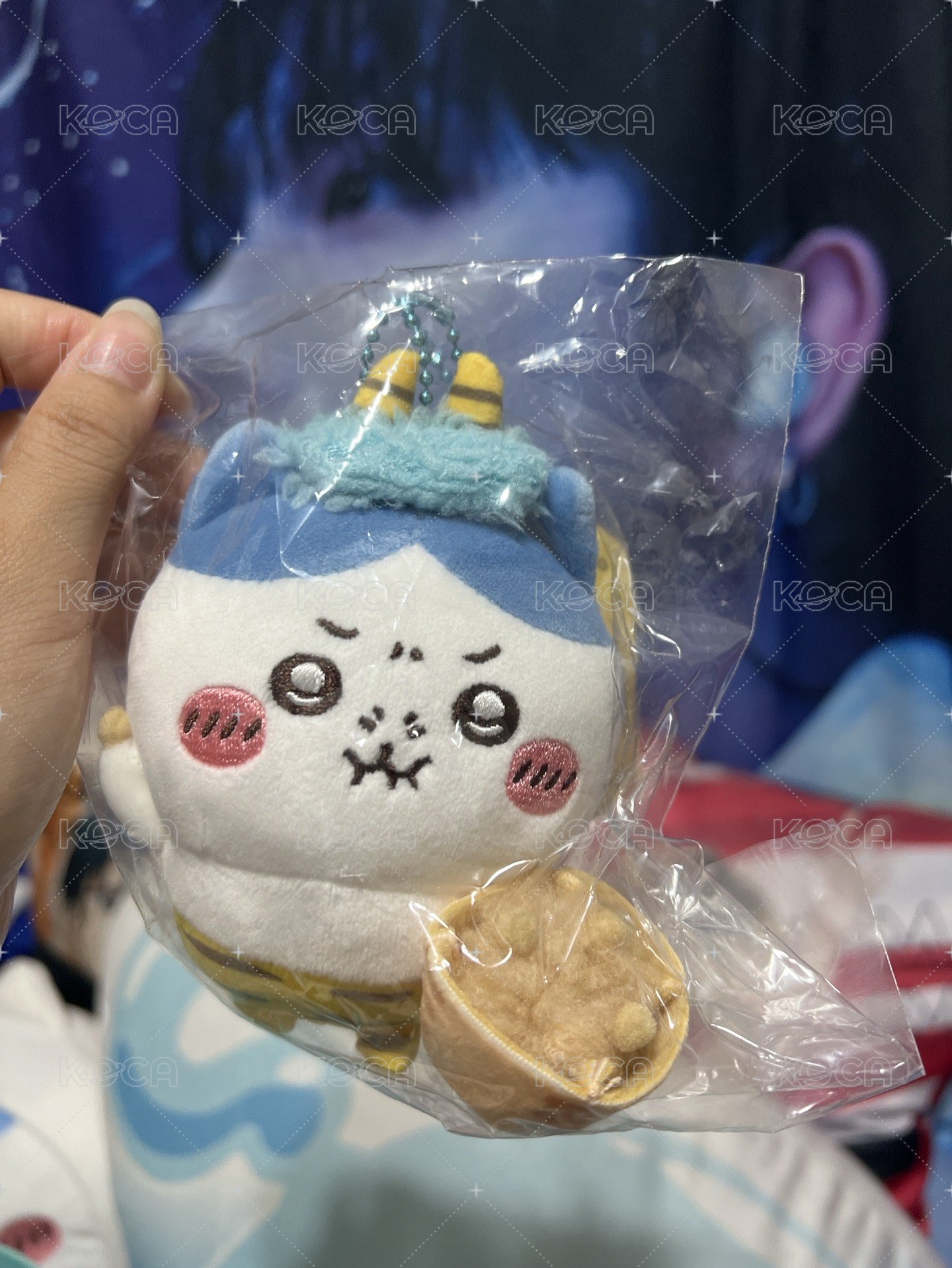 分節八